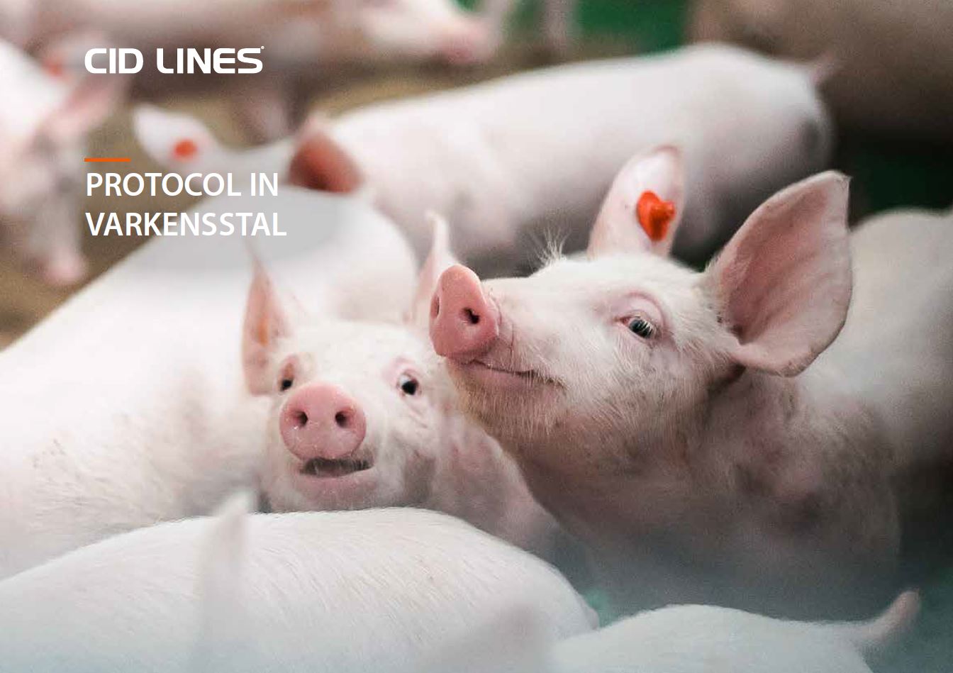 African Swine Fever CID LINES